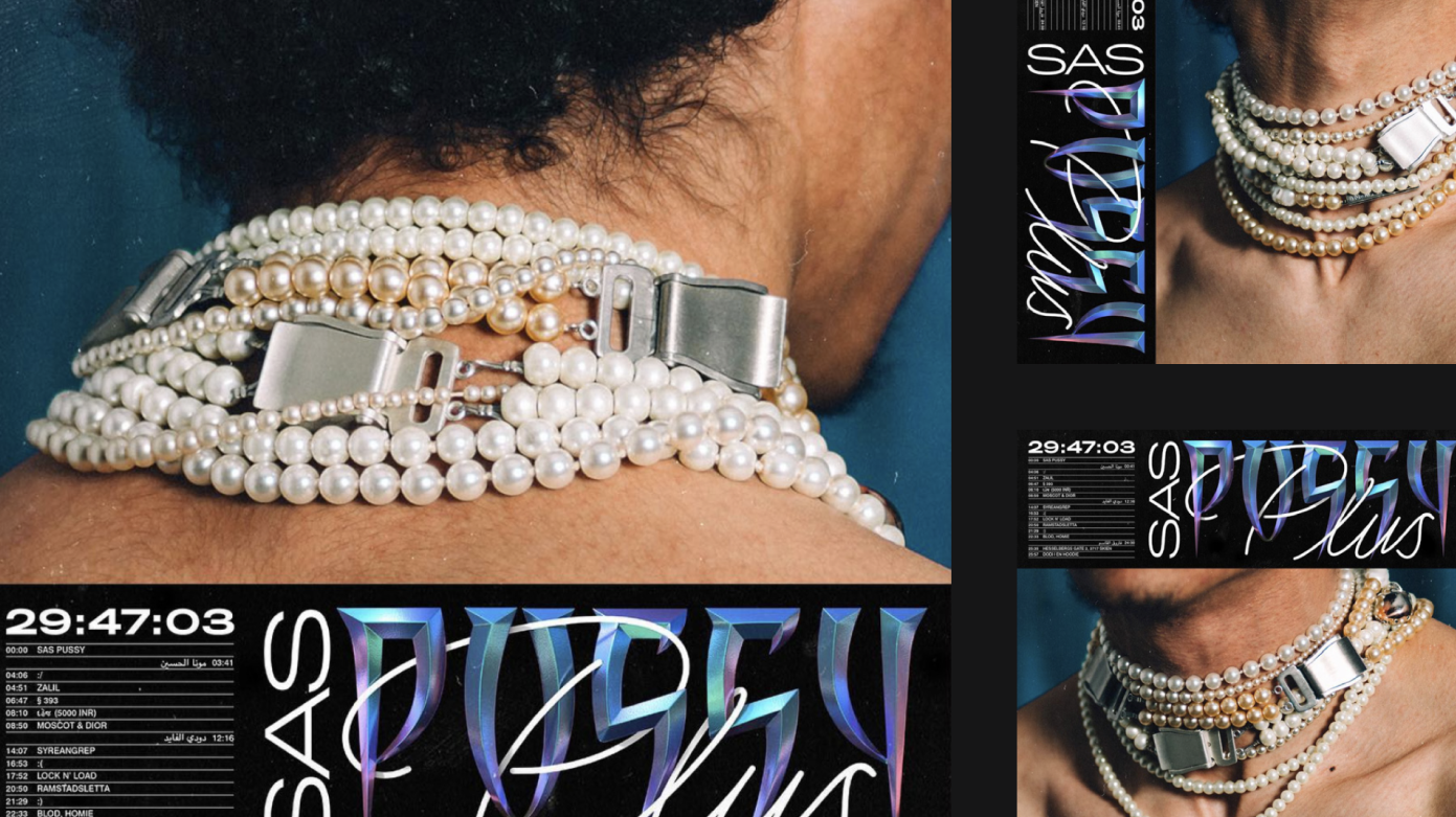 SAS PLUS / SAS PUSSY